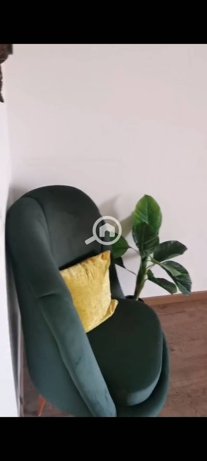 3 1001431883. png