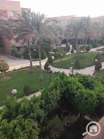 فلیٹ 3 غرف نوم للايجار في القاهرة الجديدة، القاهرة - 1001432073. jpg