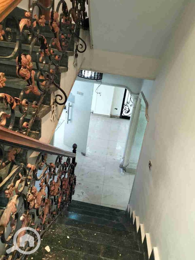 9 1000034527. jpg