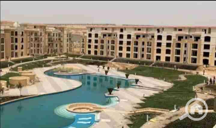 6 IMG_٢٠٢٥٠٩٠٣_٢٣٥٠٤٦. jpg
