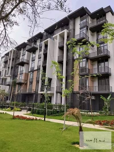 3 Bedroom Flat for Sale in Madinaty, Cairo - WhatsApp Image 2025-07-23 at 1.17. 58 AM (1). jpeg