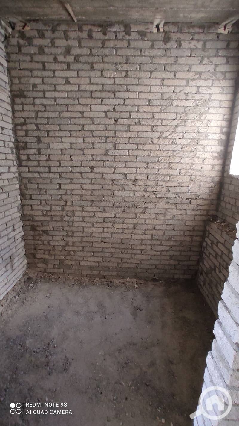 8 537148961_1485918169152160_5342534992823154715_n. jpg