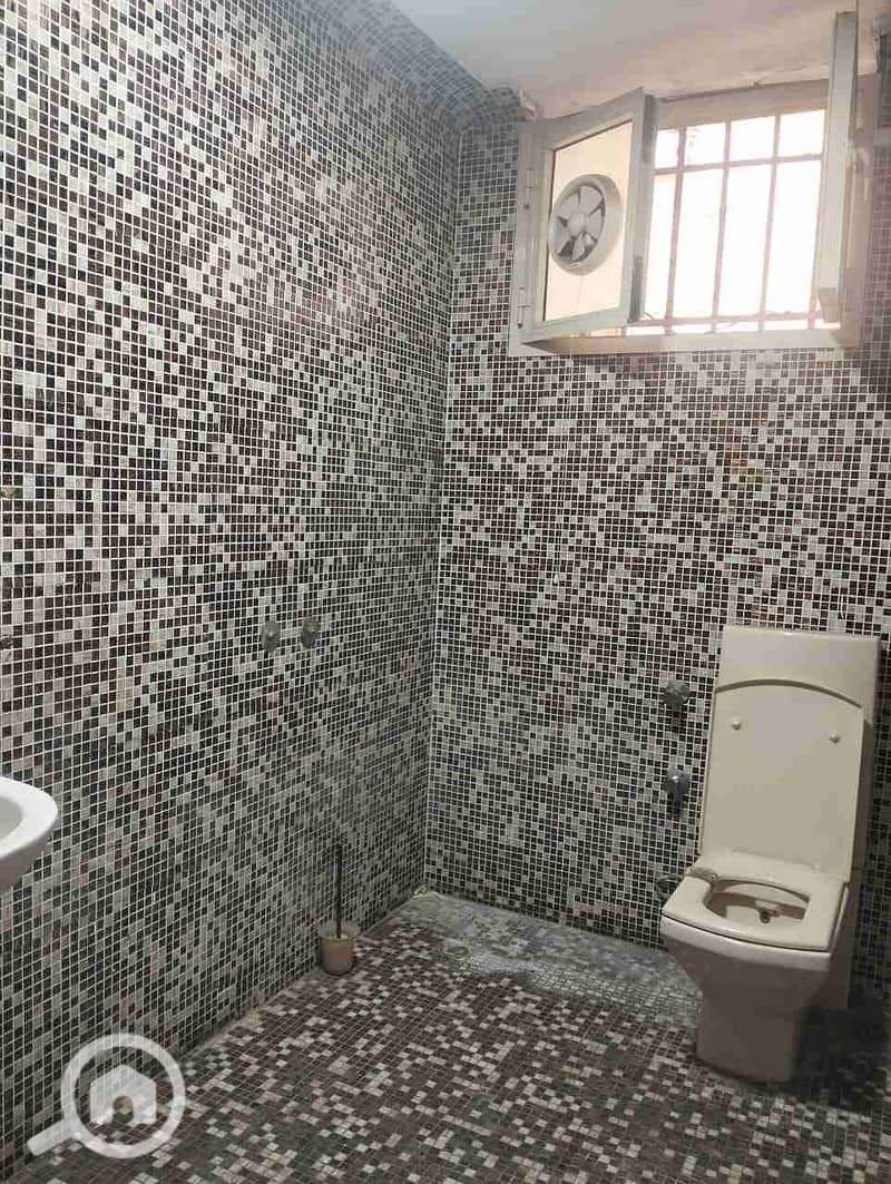 8 1000032743. jpg