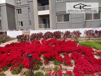 شقة 3 غرف نوم للبيع في القاهرة الجديدة، القاهرة - WhatsApp Image 2023-10-30 at 6.35. 40 PM - Copy. jpg