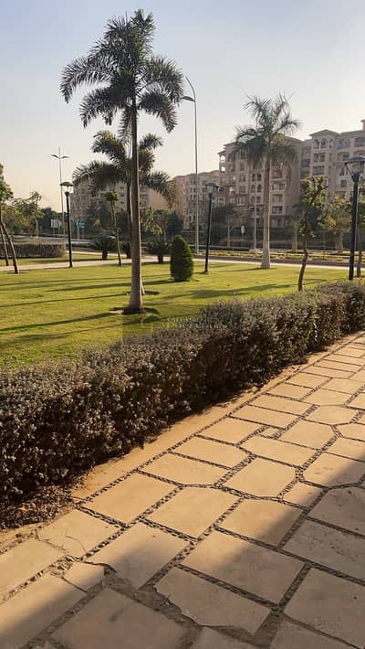 3 Bedroom Flat for Sale in Madinaty, Cairo - WhatsApp Image 2025-08-30 at 5.37. 01 PM (1). jpeg