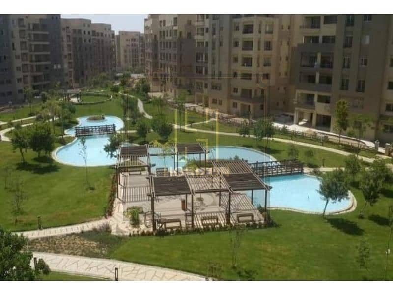 15 7699925-60ff2o. jpg