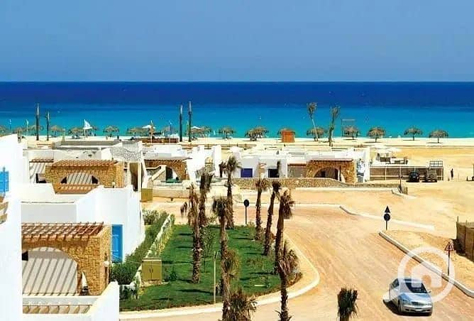 6 بيانكى (27). jpg