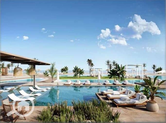 5 كالى كوست calicoast (21). jpg