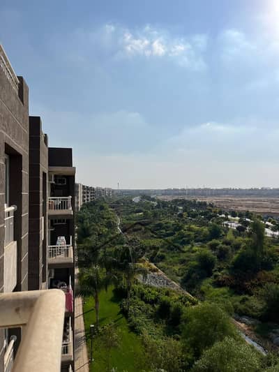 3 Bedroom Flat for Rent in Madinaty, Cairo - WhatsApp Image 2025-09-04 at 6.08. 29 PM. jpeg