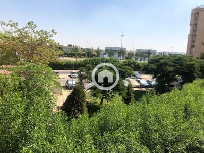 3 Bedroom Flat for Rent in Madinaty, Cairo - WhatsApp Image 2025-09-04 at 1.30. 46 PM. jpeg