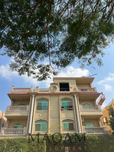 3 Bedroom Flat for Sale in New Cairo, Cairo - WhatsApp Image 2025-08-23 at 3.38. 54 PM. jpeg