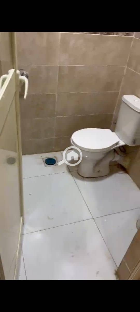 14 WhatsApp Image 2025-09-05 at 12.36. 33 AM. jpeg