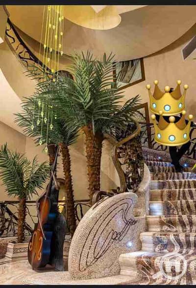 11 Bedroom Other Residential for Sale in New Cairo, Cairo - IMG-20250904-WA0479. jpg