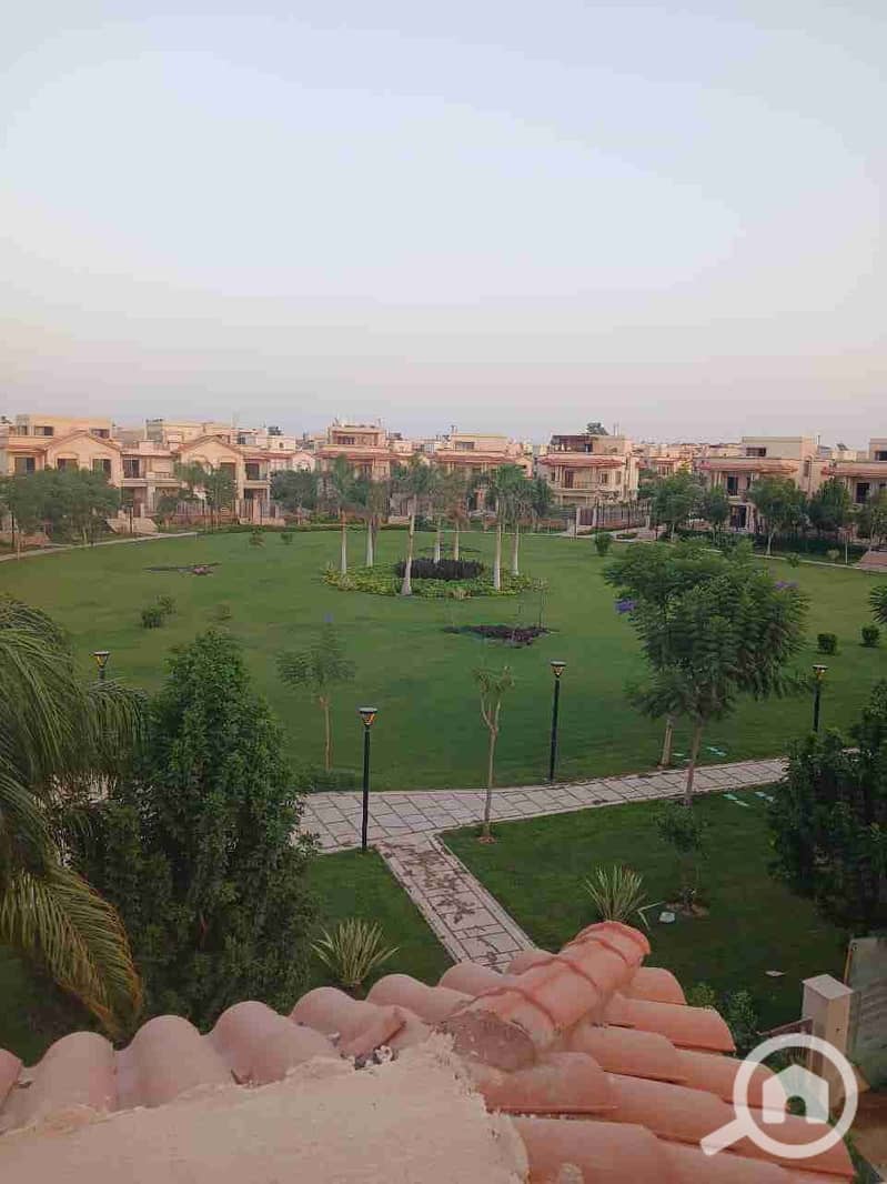 11 1000794341. jpg