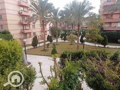 شقة 3 غرف نوم للبيع في القاهرة الجديدة، القاهرة - 1000049845. jpg