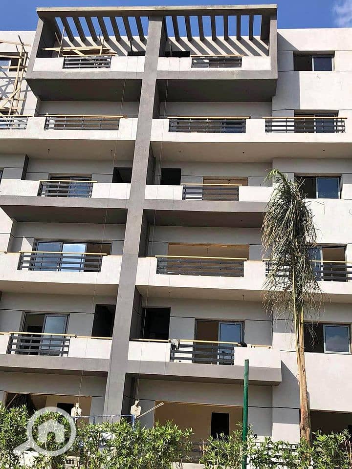 6 stoda heliopolis. jpg