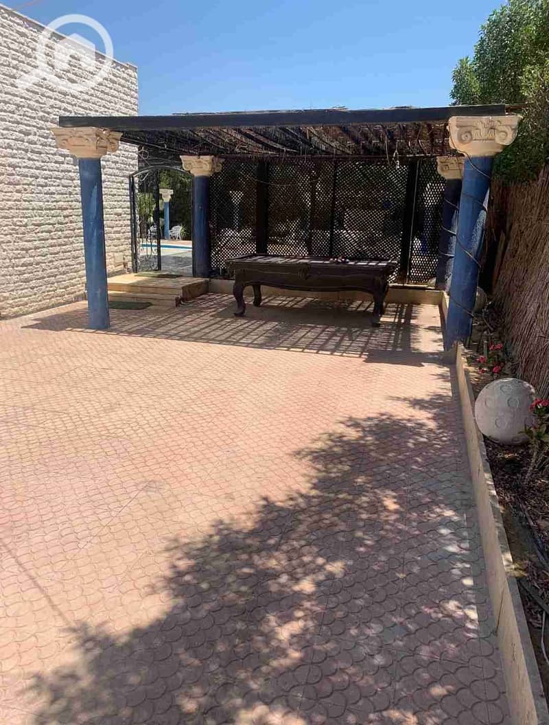 7 1000444200. jpg