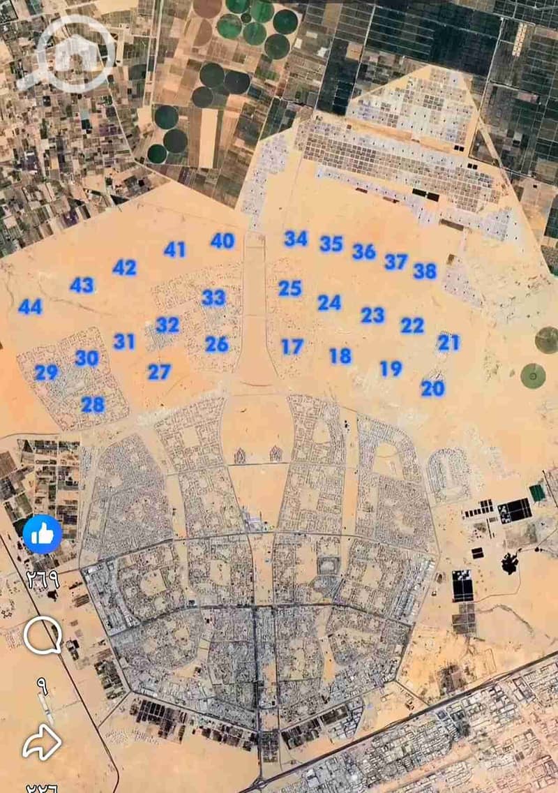 1000550686. jpg