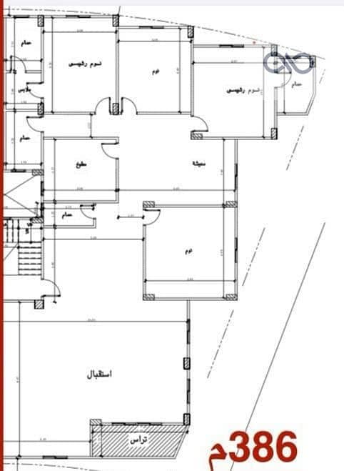 5 WhatsApp Image 2025-09-03 at 15.19. 53. jpeg