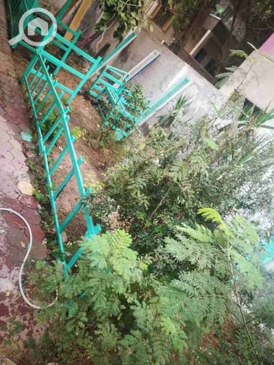 شقة 3 غرف نوم للايجار في المعادي، القاهرة - IMG-20250823-WA0065. jpg