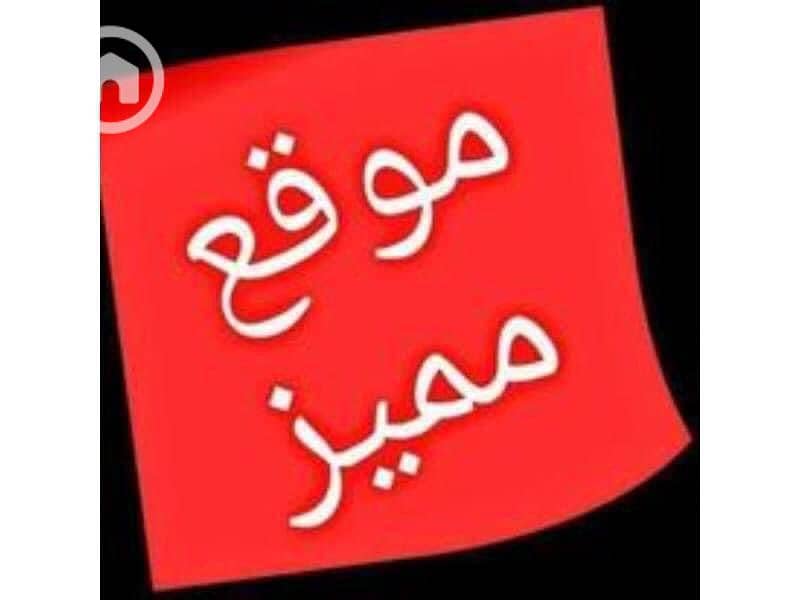 3 WhatsApp Image 2025-08-31 at 12.54. 52 PM (1). jpeg