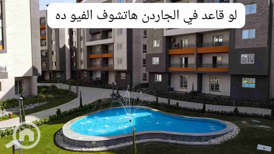 3 1000371335. jpg