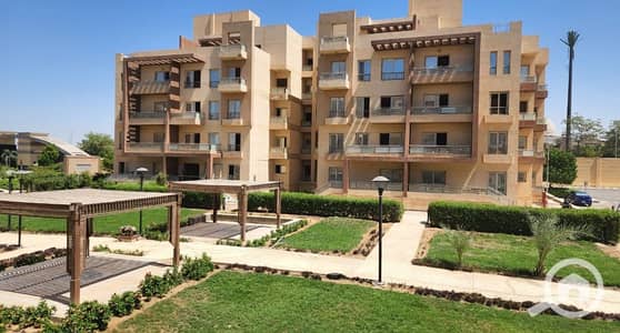 3 Bedroom Apartment for Rent in Shorouk City, Cairo - WhatsApp Image 2025-07-05 at 14.34. 01_4e54a135. jpg