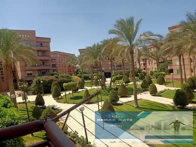 شقة 3 غرف نوم للايجار في القاهرة الجديدة، القاهرة - WhatsApp Image 2025-09-04 at 2.46. 35 PM (1). jpeg