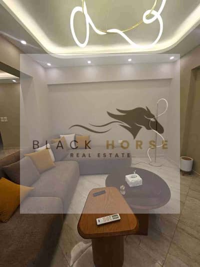 2 Bedroom Flat for Rent in New Cairo, Cairo - 1000021665. jpg