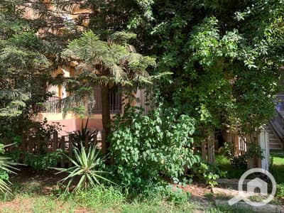3 Bedroom Apartment for Rent in Madinaty, Cairo - 1a7c9f37-f8e0-402b-9078-5b7ce38d9321. jpg