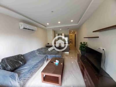 فلیٹ 1 غرفة نوم للايجار في القاهرة الجديدة، القاهرة - 249308. jpg