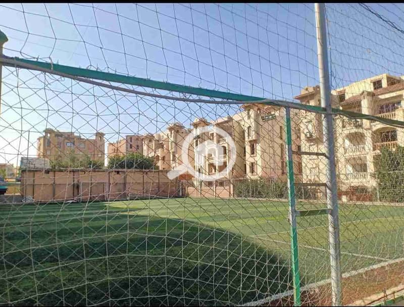 5 1000019976. jpg