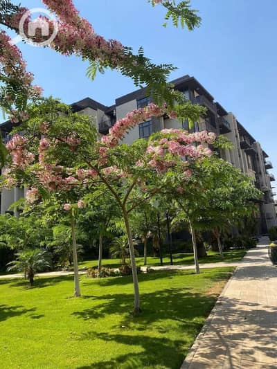 Room for Sale in Madinaty, Cairo - صورة واتساب بتاريخ 2025-08-26 في 12.38. 52_b56e9822. jpg
