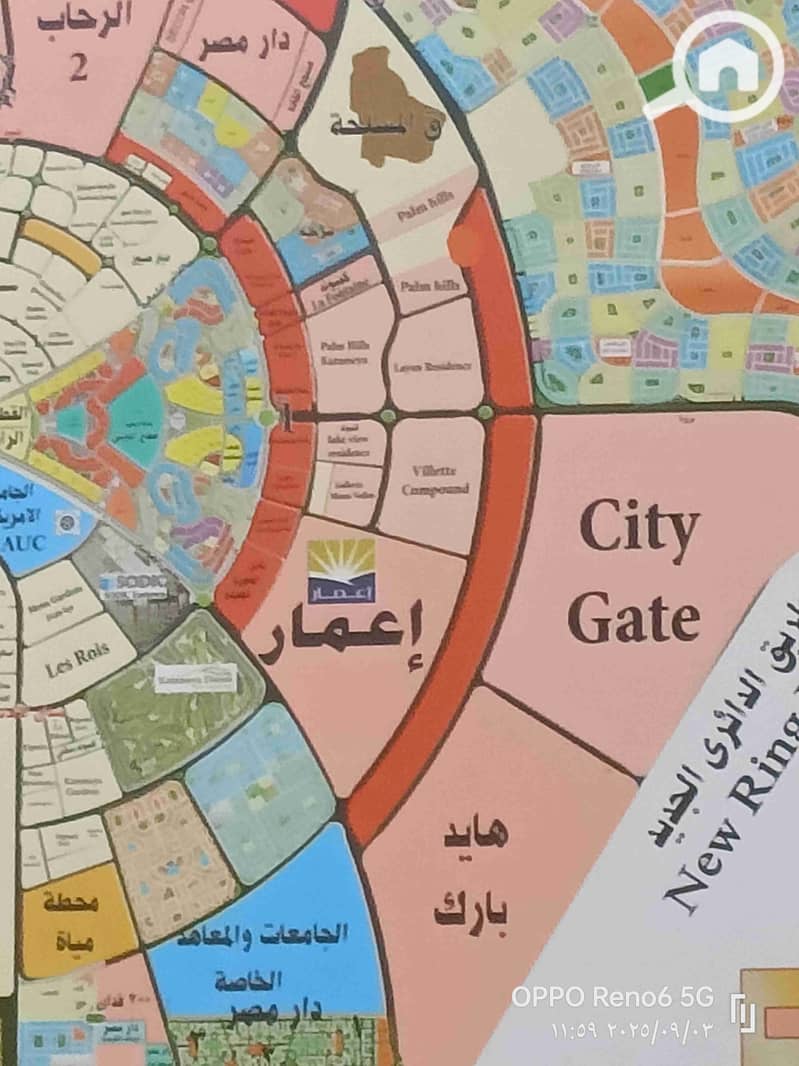 11 1000097241. jpg