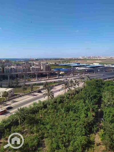 3 Bedroom Apartment for Rent in Maamoura, Alexandria - 1000301113. jpg