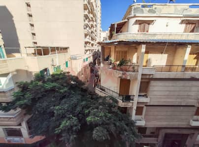 شقة 3 غرف نوم للايجار في كفر عبدو، الإسكندرية - IMG_20250906_164109. jpg