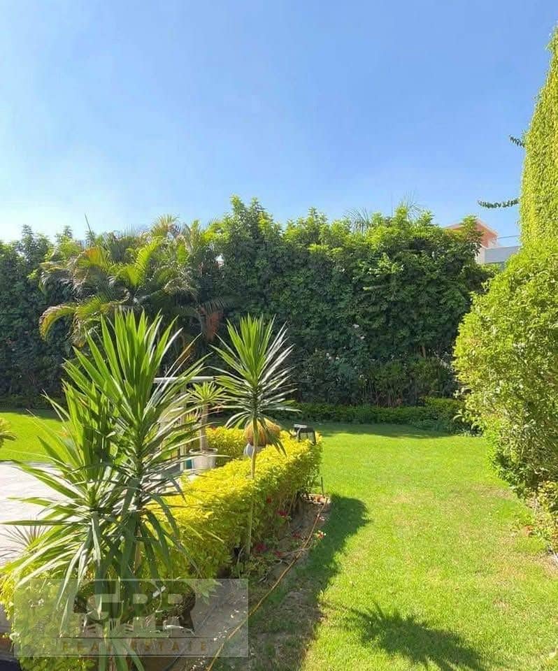 6 518378377_122140062092834009_292922211862416997_n. jpg