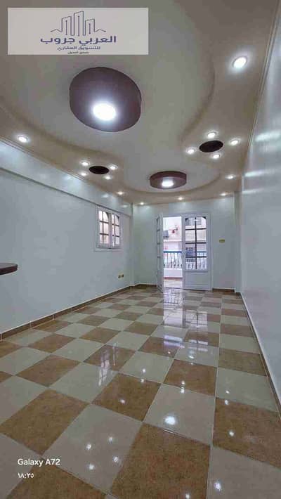 فلیٹ 2 غرفة نوم للبيع في النخيل، الإسكندرية - 1000240525. jpg