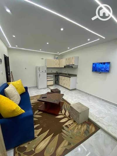 غرفة 1 غرفة نوم للايجار في المعادي، القاهرة - dd3578a3-b052-4317-bcba-c8eb05200cb1. jpg