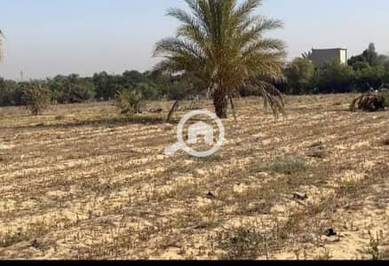 زراعي  للايجار في 6 أكتوبر، الجيزة - WhatsApp Image 2025-09-07 at 15.06. 08_98ec3e03. jpg