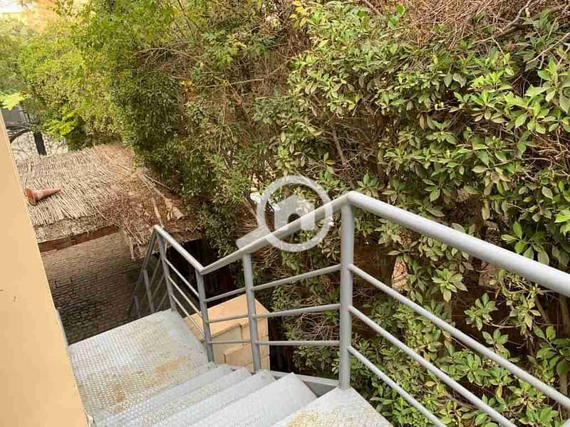 6 1000004182. jpg