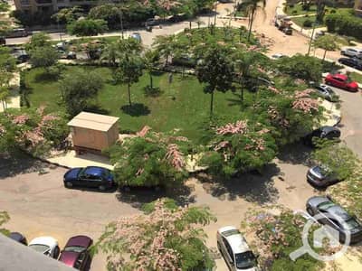 3 Bedroom Apartment for Rent in New Cairo, Cairo - 1001446047. jpg