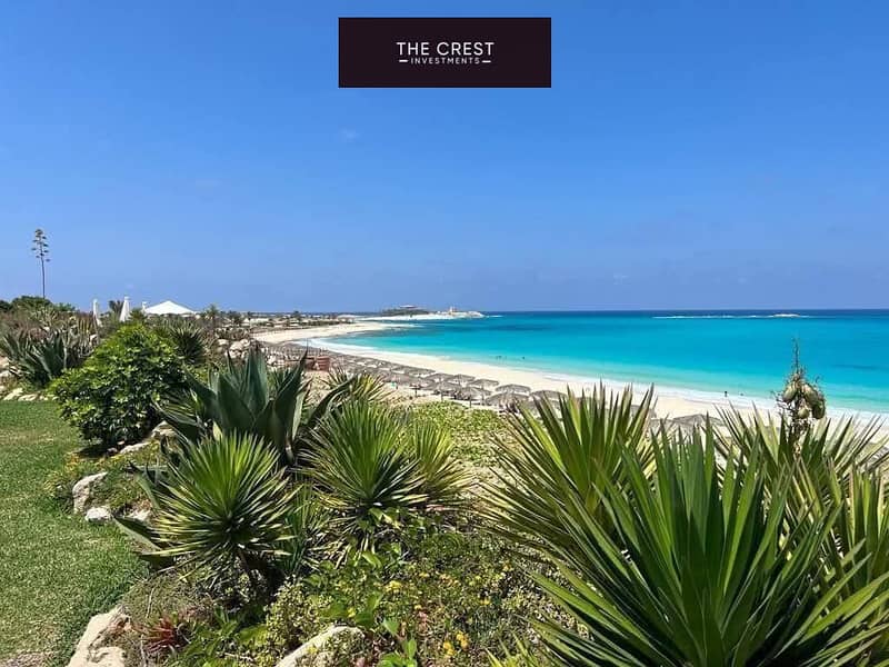 9 511712004_122163079508533397_6641357174359216535_n. jpg