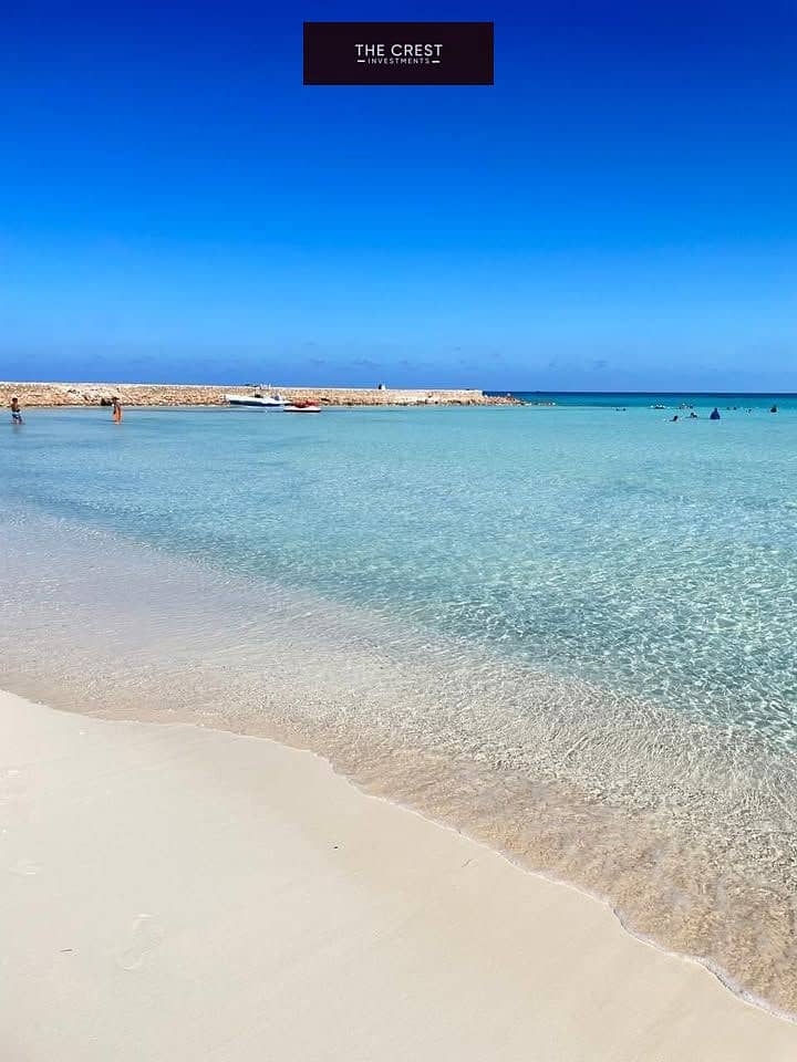 12 518142422_122271186548193188_3501148817410549604_n. jpg