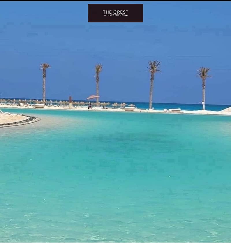 11 487900525_634960742840418_3765246775850838179_n. jpg