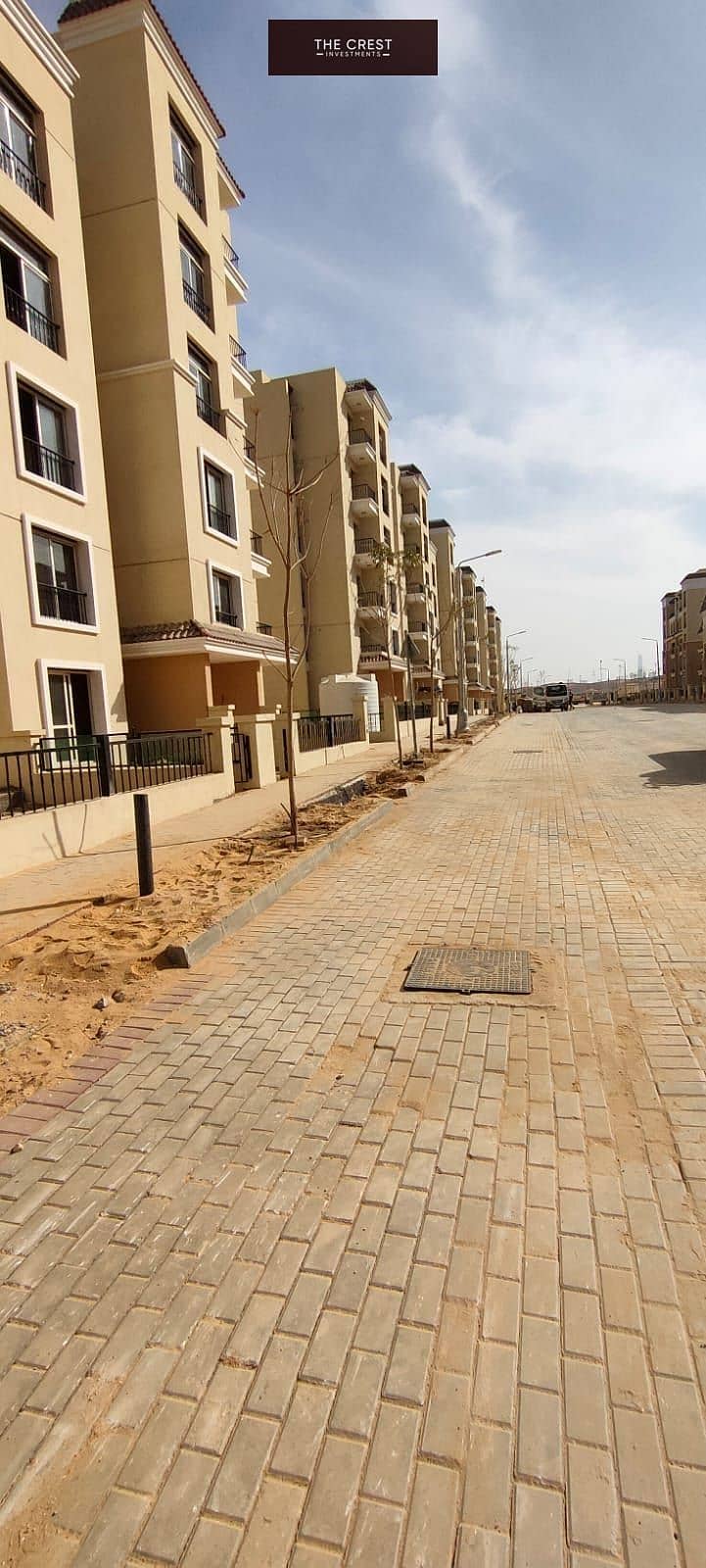 10 295215651_116648287774305_6781441504724847345_n. jpg