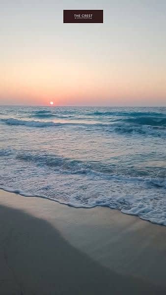 7 508142376_2344827199252949_5785403804933831609_n. jpg