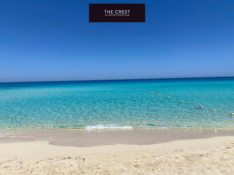 7 491609654_122258569904010348_4082398481684297421_n. jpg