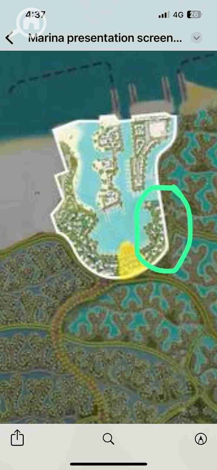 8 1000217508. jpg