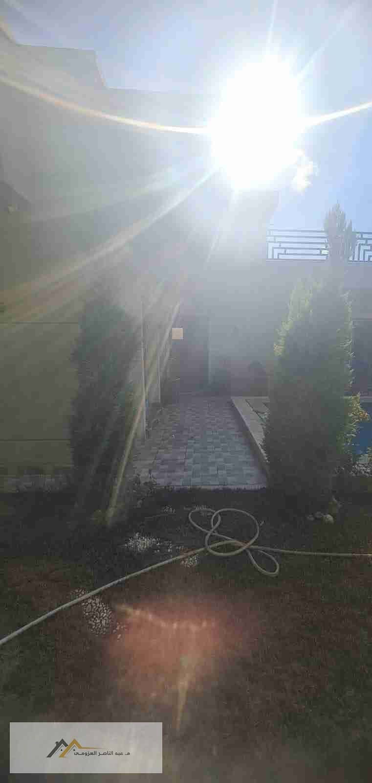 8 1000662377. jpg